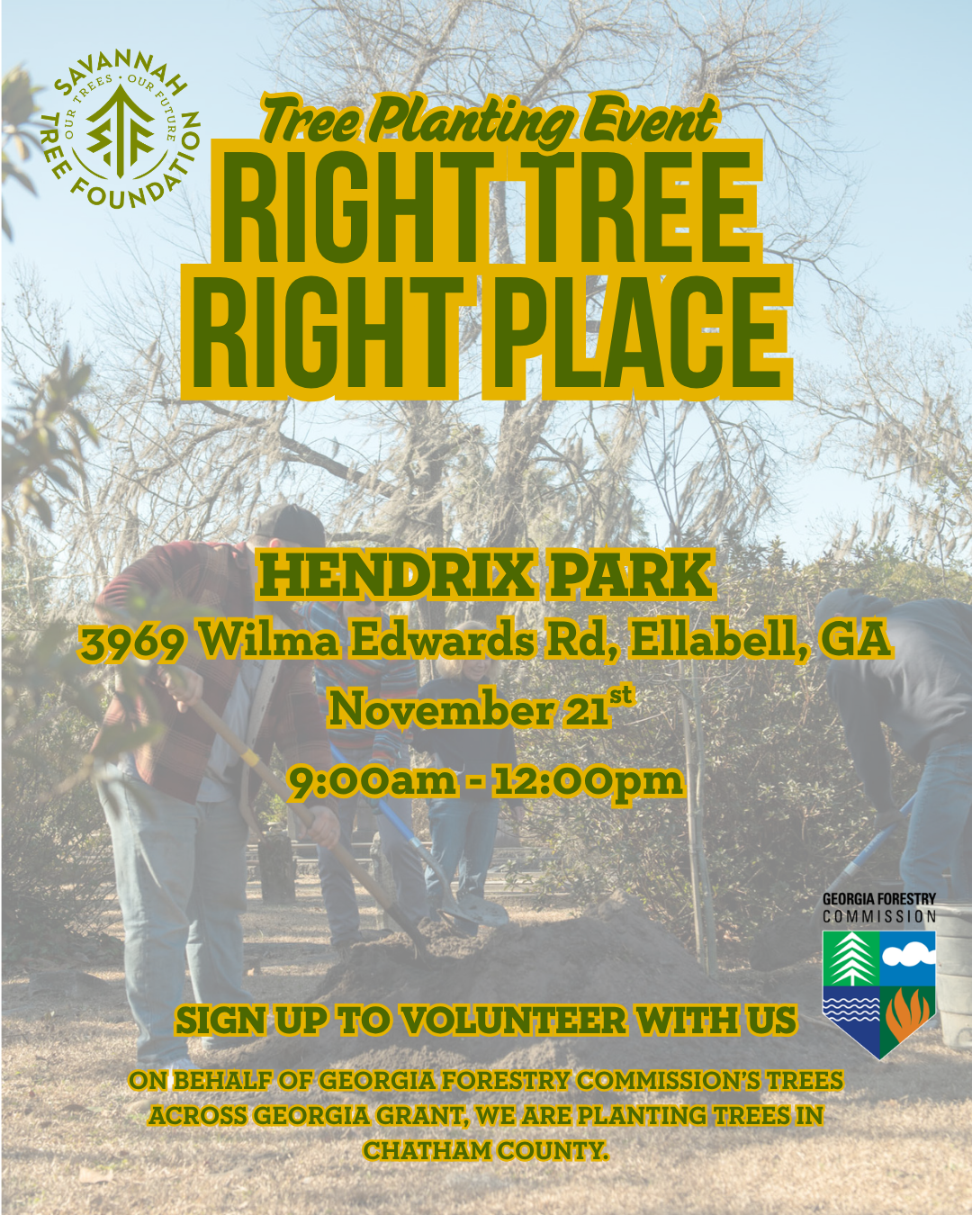 Hendrix Park.png